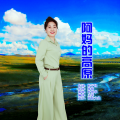 叶俊华 - 阿妈的高原