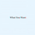 消失的眼角膜 - What You Want (0.9x)