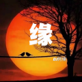 DJ阿楠Remix - 电子琴-缘-放松解压