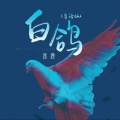 迷鹿 - 白鸽