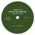 COULD BE WRONG (James Hiraeth Remix)