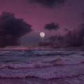 Sped Up Mage、Syrex - Salt