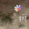 雾中花