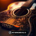Best Guitar Covers Vol. #3