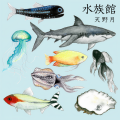 天野月 - 人魚