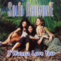 Solid HarmoniE - You Got the Flava