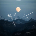 任志达（张局） - 越过山丘