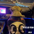 清凌 - 东北出马仙