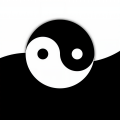 清光 - 海鸥遇沙滩