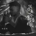 我只是一个漂泊的人(DJ九零版)