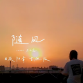 夜阳青 - 随风