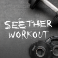 Seether - Leech