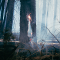 Feverkin - Within The Weave