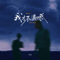 P40林康鉴 - 我才不遗憾