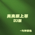 离离原上草 (DJ版)