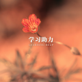 林中意 - 静心自习曲