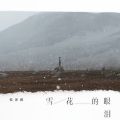 雪花的眼泪