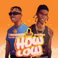 How Low (Remix) [Explicit]