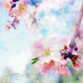 Spring Day