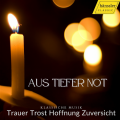 donna brown、Gächinger Kantorei、Bach-Collegium Stuttgart、helmuth rilling - Ein deutsches Requiem, Op. 45: V. Ihr habt nun Traurigkeit