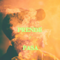 Kenny Man - Ni Gucci Ni Prada