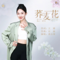 苏小雪 - 荞麦花