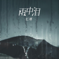 忆珊 - 雨中泪