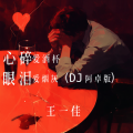 王一佳 - 心碎爱酒杯眼泪爱烟灰DJ阿卓