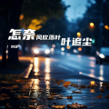 刘泽一 - 怎奈风追落叶叶追尘