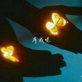 笛娣 - 有我呢