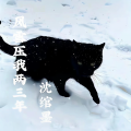沈绾墨 - 风雪呀我两三年