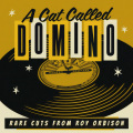 A Cat Called Domino