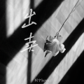 柯宇（孙泽耀） - 出卖