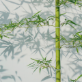 与缘同行