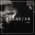 刘泽一 - 难道是我犯了天条