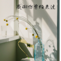 幻境音乐厂 - 野草的后来