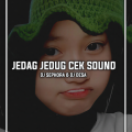 DJ Sephora、DJ Desa - Jedag Jedug Cek Sound