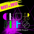 CDM Project - Pound the Alarm