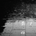 小井 - 丢了你