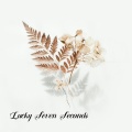 Davonte Champlin、Jamel Bednar - Lucky Seven Seconds