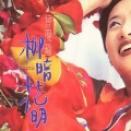 曾庆瑜 - 柳暗花明