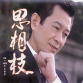 蔡小虎 - 意难忘