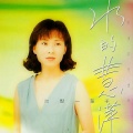 林慧萍 - 结发一辈子