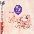 黄安 - 带子郎