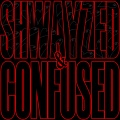 Shwayze - Roaming