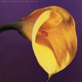 Swans - Let It Come Down