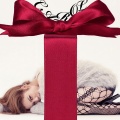 Chara - Gift