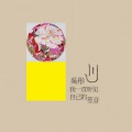 吴彤 - 望春风