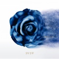 JUJU - Piece Of Our Days