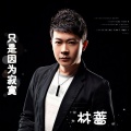 林蔷 - 只是因为寂寞